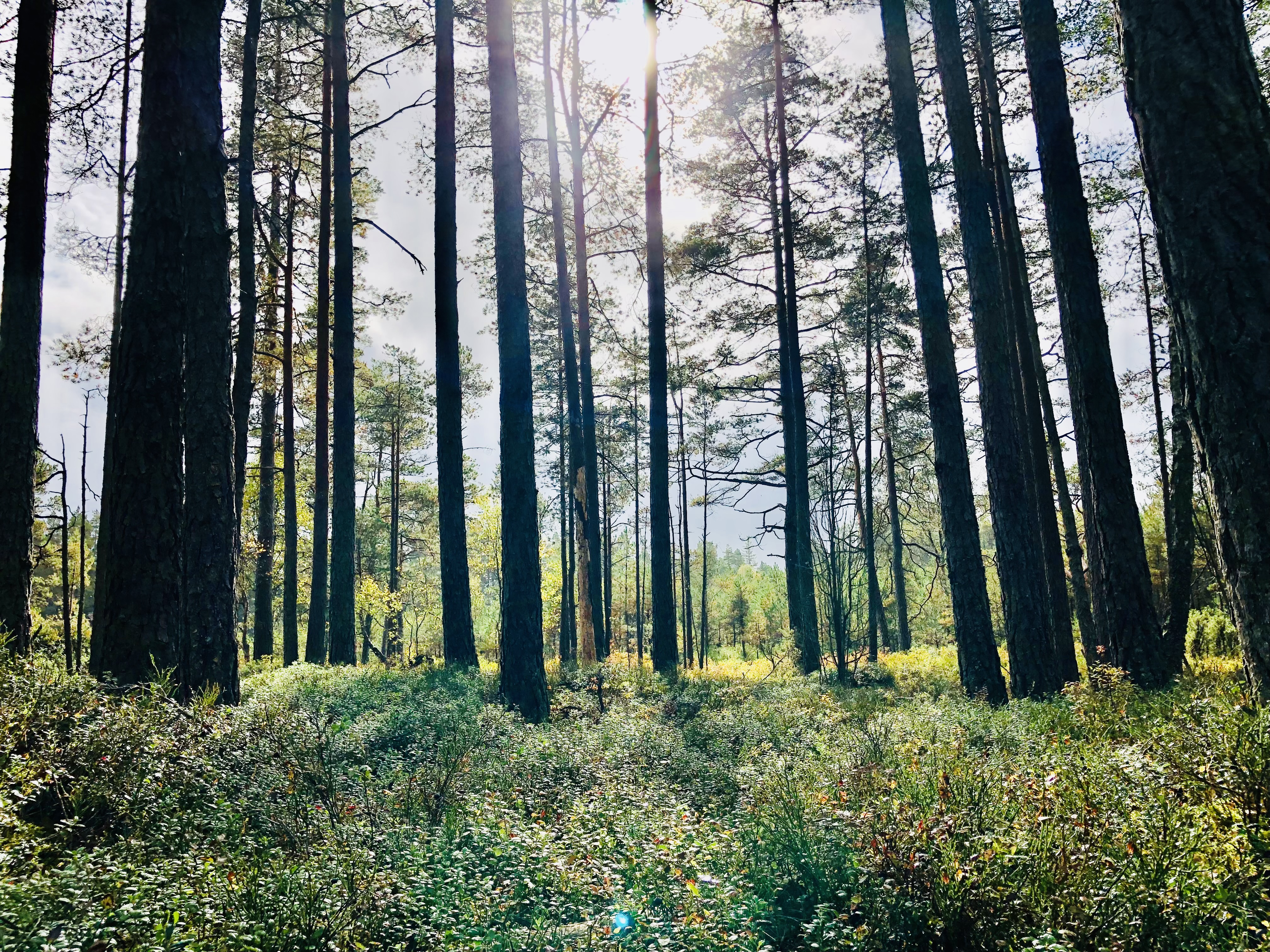 Ressourcenzeit - YOMA